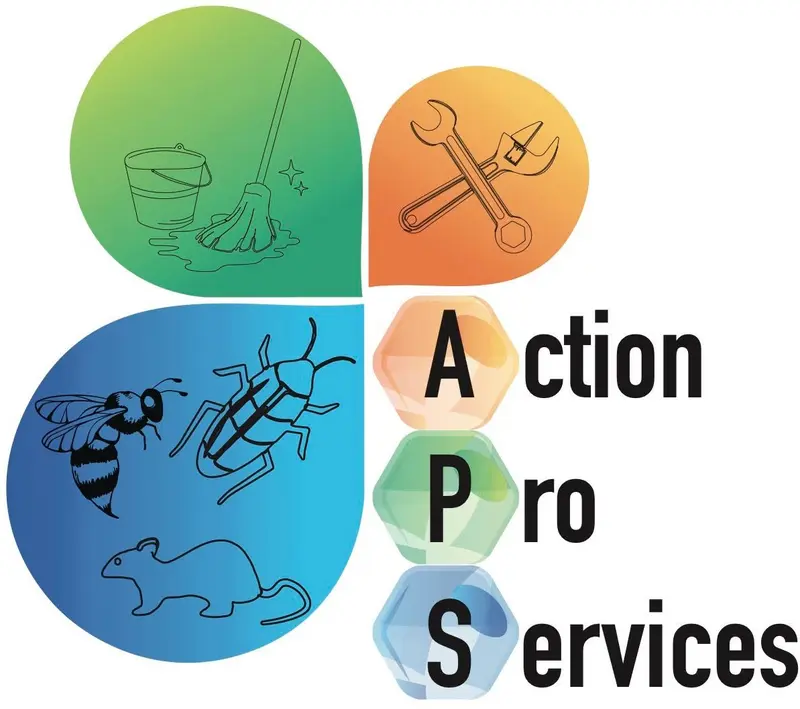 Action Pro Services