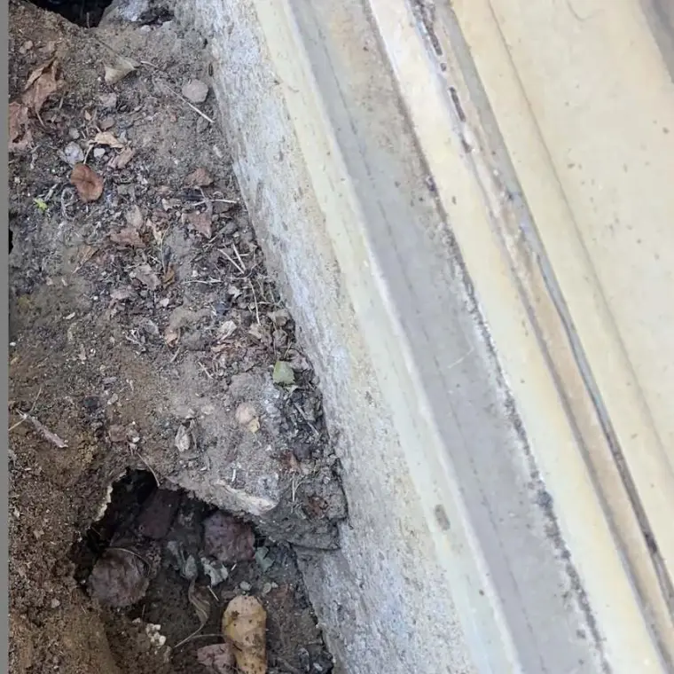 Trous de galeries de rongeurs creusés au pied d’un mur