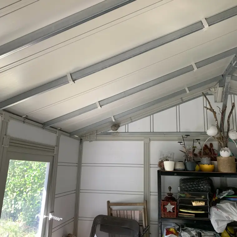 Petit nid de guêpes débutant dans l’angle du toit d’un abri de jardin encombré
