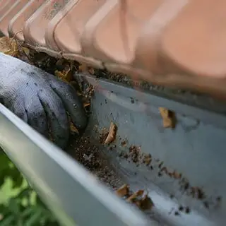 Main gantée dégageant les feuilles mortes accumulées dans une gouttière